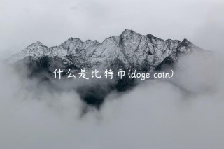 什么是比特币 - dog coin