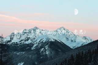 全球十大货币 - dapp是什么意思
