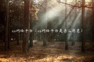ico网络平台（ico网络平台是甚么原意）