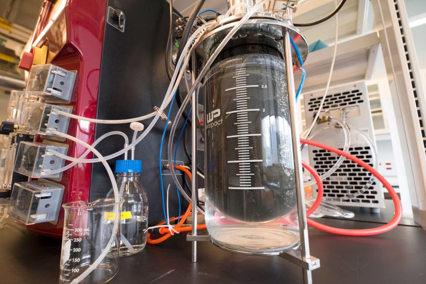 Qiwi是不是用（locationsWRT54G的Qiwi是不是用）-第3张图片-欧意下载