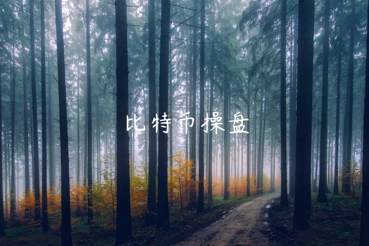 比特币操盘-第1张图片-欧意下载