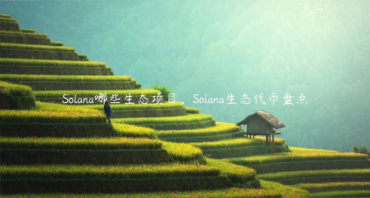 Solana哪些生态项目，Solana生态代币盘点-第1张图片-欧意下载