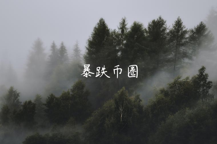 暴跌币圈-第1张图片-欧意下载