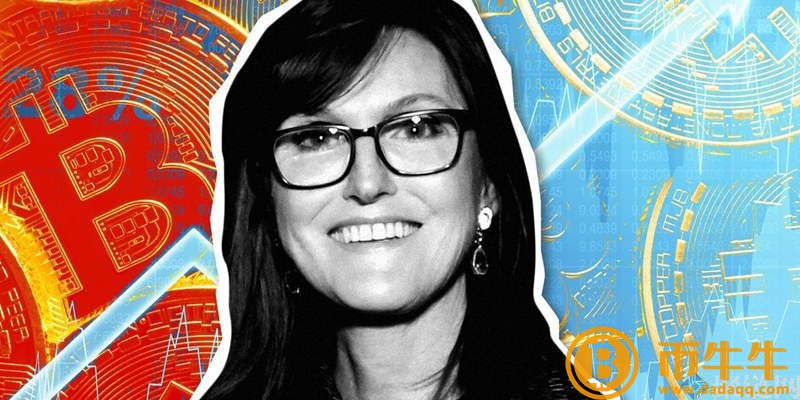 灰度GBTC方舟ARKW投资加拿大比特币TF-第2张图片-欧意下载