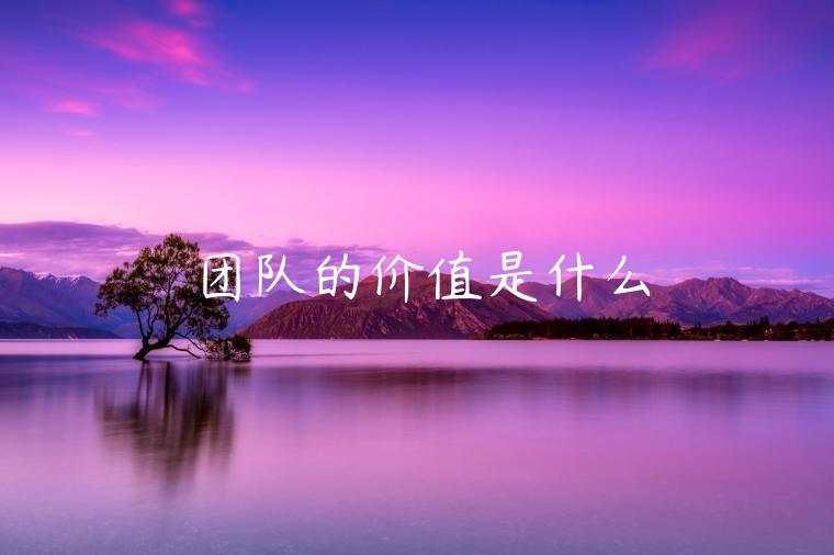 团队的价值是什么-第1张图片-欧意下载