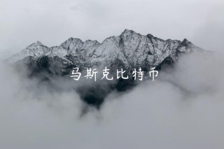 马斯克比特币