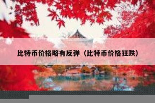 比特币价格略有反弹（比特币价格狂跌）