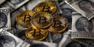 PETT币最新行情如何