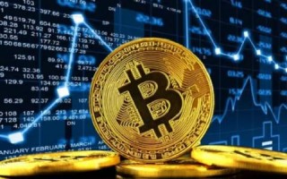 dom币价格今日行情 - dom币）