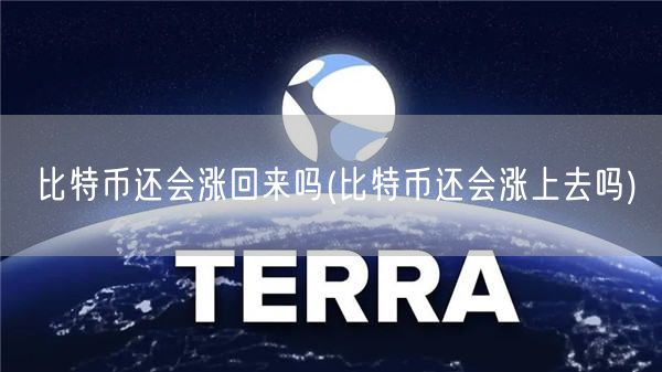 比特币还会涨回来吗(比特币还会涨上去吗)-第1张图片-欧意下载