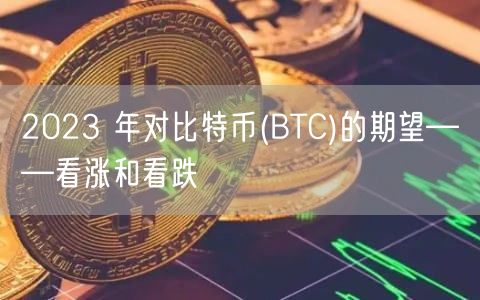 2023 年对比特币(BTC)的期望——看涨和看跌-第1张图片-欧意下载