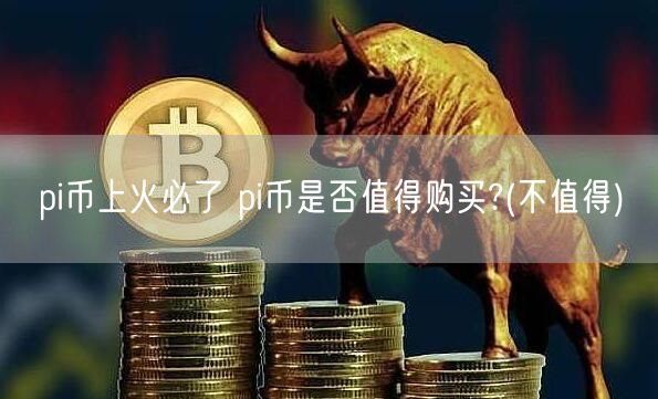 pi币上火必了 pi币是否值得购买?(不值得)-第1张图片-欧意下载
