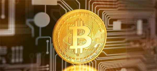 LEASH币今日最新价格行情-第1张图片-欧意下载