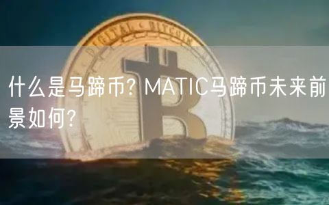 什么是马蹄币? MATIC马蹄币未来前景如何?-第1张图片-欧意下载