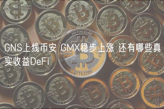 GNS上线binance GMX稳步上涨 还有哪些真实收益DeFi-第1张图片-欧意下载