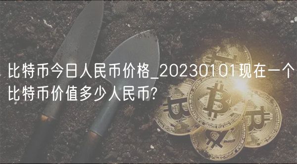 比特币今日人民币价格_20230101现在一个比特币价值多少人民币?-第1张图片-欧意下载