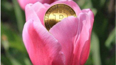 荷兰 郁金香事件,荷兰郁金香事件给投资者的启示-第1张图片-欧意下载