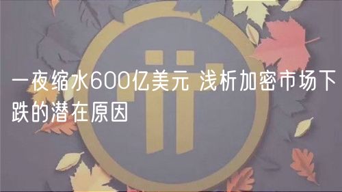 一夜缩水600亿美元 浅析加密市场下跌的潜在原因-第1张图片-欧意下载
