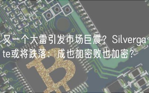 又一个大雷引发市场巨震？Silvergate或将跌落：成也加密败也加密？-第1张图片-欧意下载