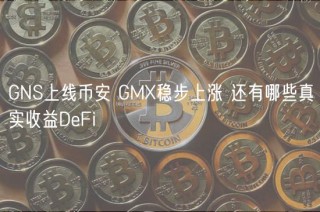 GNS上线binance GM稳步上涨 还有哪些真实收益DeFi