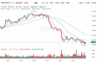 瑞波币未来前景 RP最新行情价格