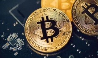 莱特币今日最新价格消息2023年3月1日 莱特币价格今日行情分享