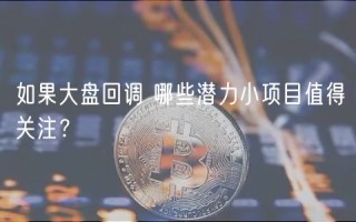 如果大盘回调 哪些潜力小项目值得关注？