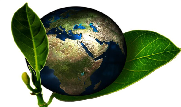 gec环保币是不是跑路了? 环保币最新消息2023-第1张图片-欧意下载