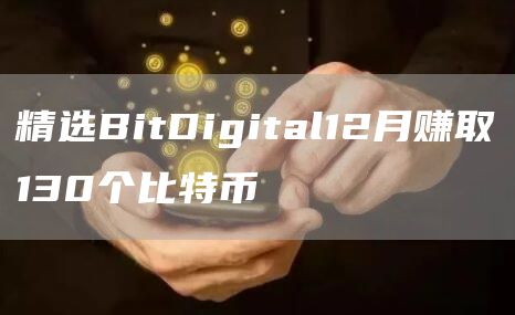 精选BitDigital12月赚取130个比特币-第1张图片-欧意下载