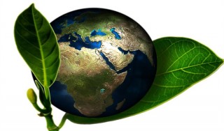 gec环保币是不是跑路了? 环保币最新消息2023