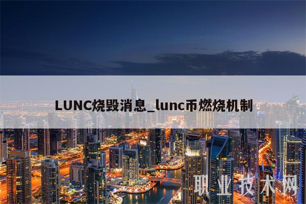 LUNC烧毁消息_lunc币燃烧机制-第1张图片-欧意下载