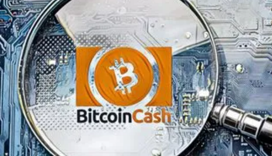 CORB币什么时候上主网？corb币上主网后价格多少钱一枚？-第3张图片-欧意下载