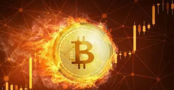 LN币今日最新价格介绍-第1张图片-欧意下载