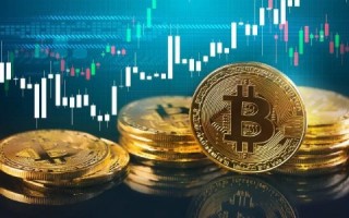 虚拟币交易app最新排行 正规虚拟货币交易软件盘点