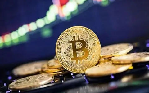 全球最大的比特币交易平台 前十交易所平台币-第2张图片-欧意易下载