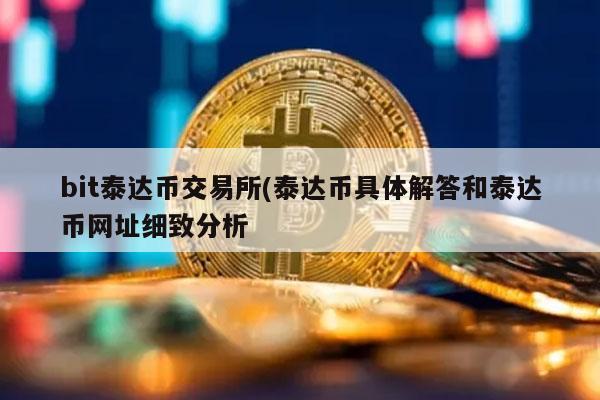 bit泰达币交易所 - 泰达币具体解答和泰达币网址细致分析-第1张图片-欧意易下载