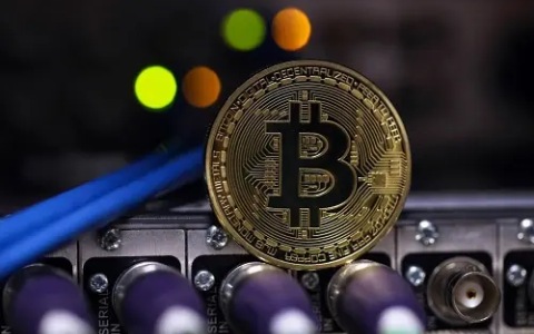 联盟链与公链的优势与不足(联盟链与公链的区别)-第1张图片-欧意下载