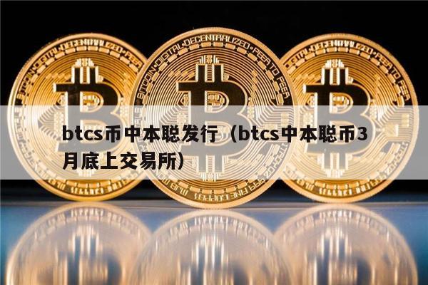 btcs币中本聪发行（btcs中本聪币3月底上交易所）-第1张图片-欧易下载