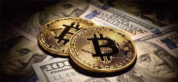 国内热门的炒币平台有哪些-第1张图片-火网交易所下载