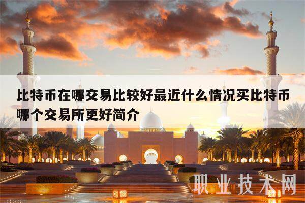 比特币在哪交易比较好最近什么情况买比特币哪个交易所更好简介-第1张图片-火网交易所下载
