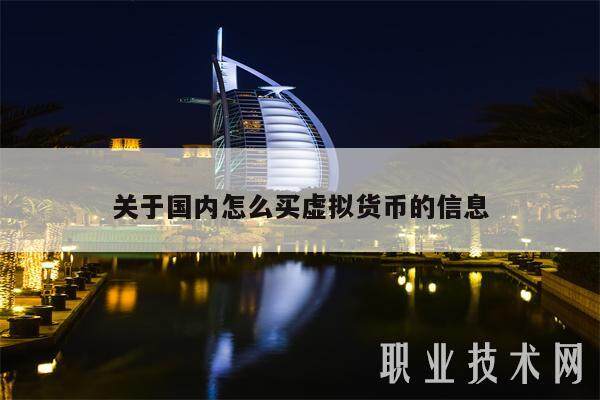 关于国内怎么买虚拟货币的信息-第1张图片-火网交易所下载