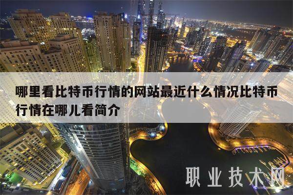 哪里看比特币行情的网站最近什么情况比特币行情在哪儿看简介-第1张图片-火网交易所下载
