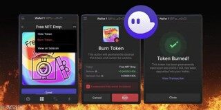 Solana钱包为打击空投钓鱼推新功能烧垃圾NFT就能赚SOL