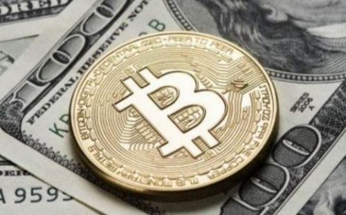 柚子币价格最新消息（柚子币今日价格行情走势）