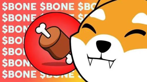 什么是Bone ShibaSwap(BONE)币-第1张图片-欧易下载