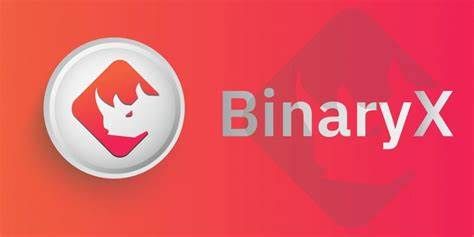 什么是BinaryX币-第1张图片-欧易下载